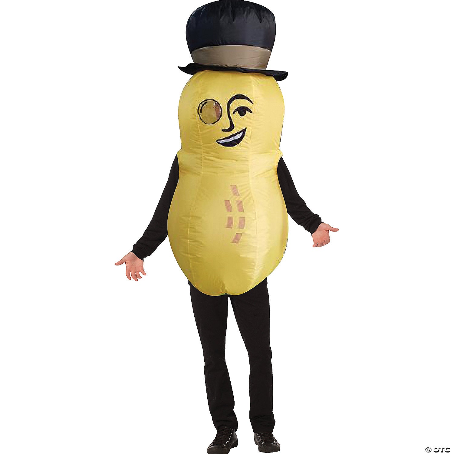 241770134.jpg