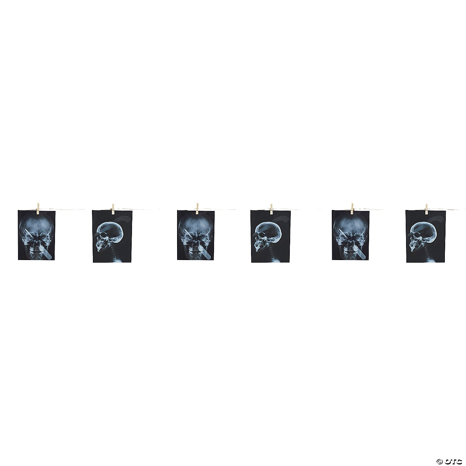 241772521.jpg