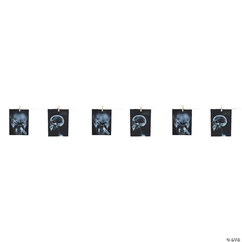 241772521.jpg