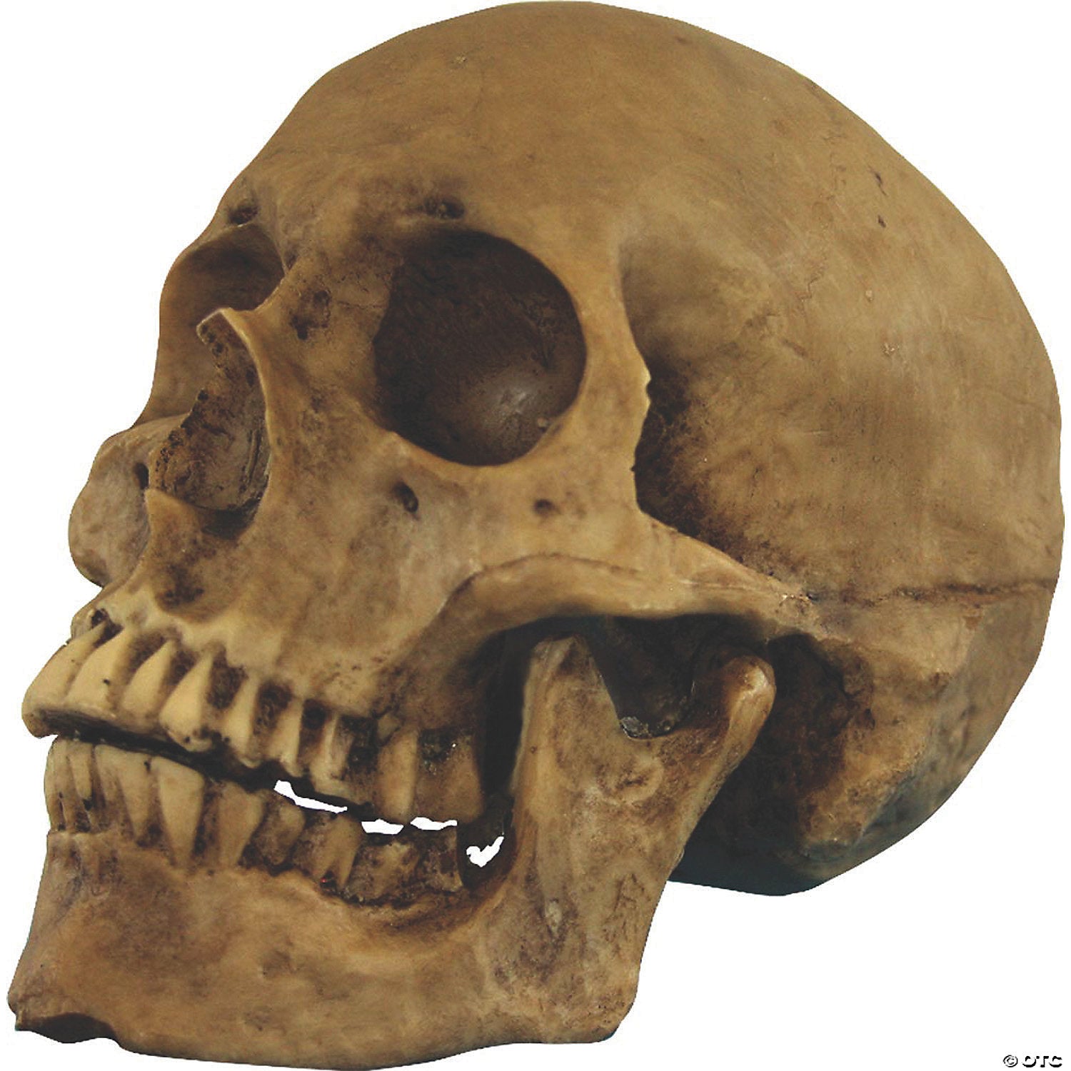 241777364.jpg