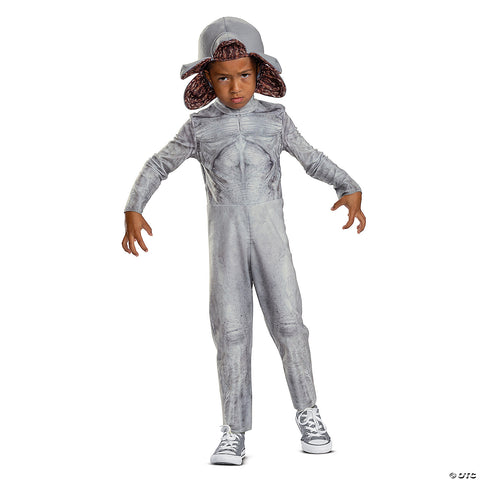 241778421.jpg