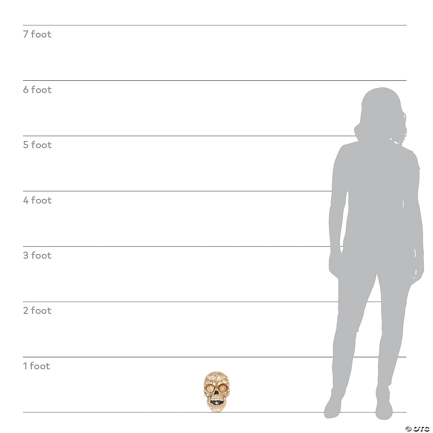 241780206.jpg