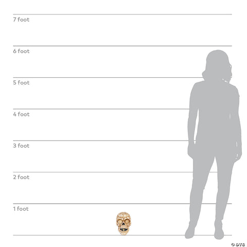 241780206.jpg