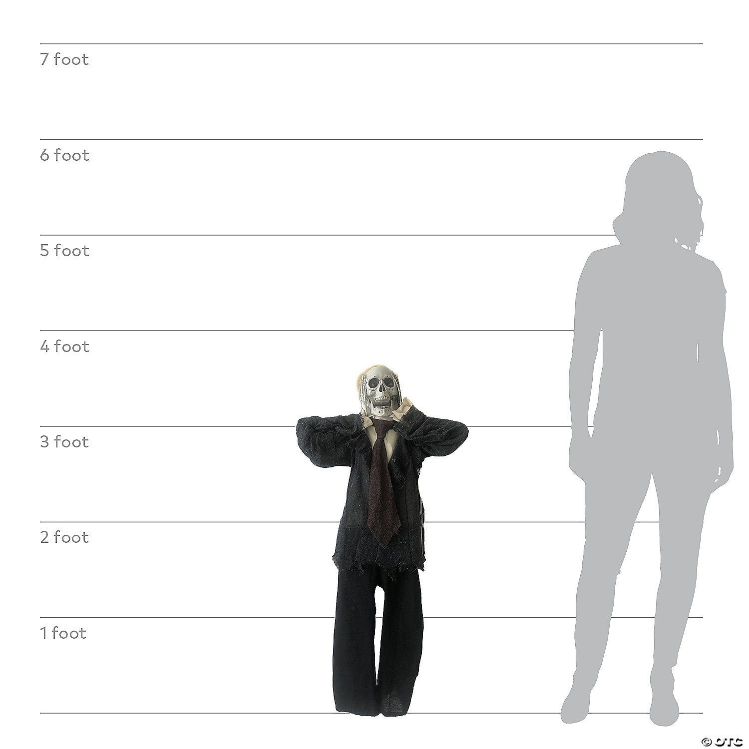 241780378.jpg