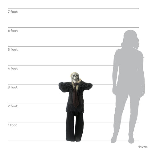 241780378.jpg