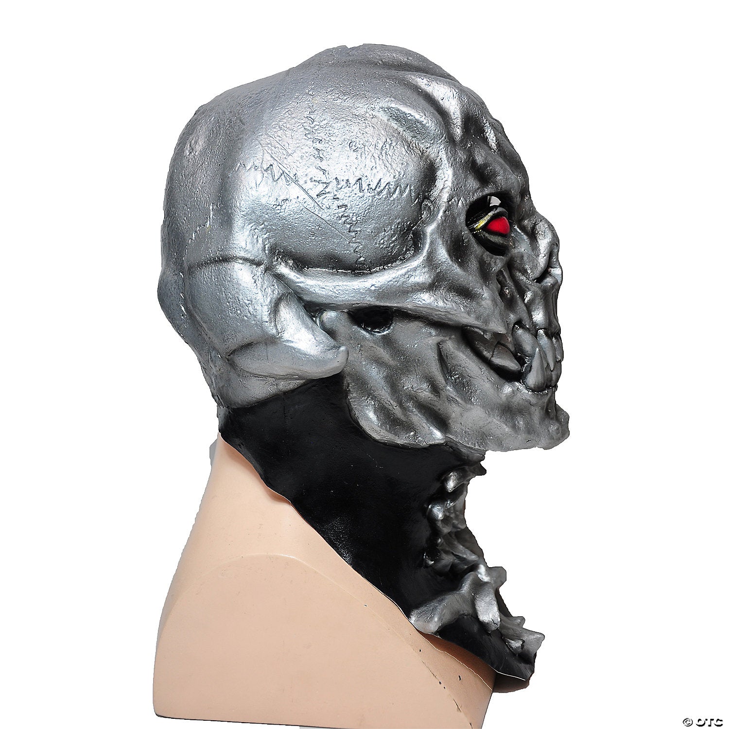 241782864.jpg