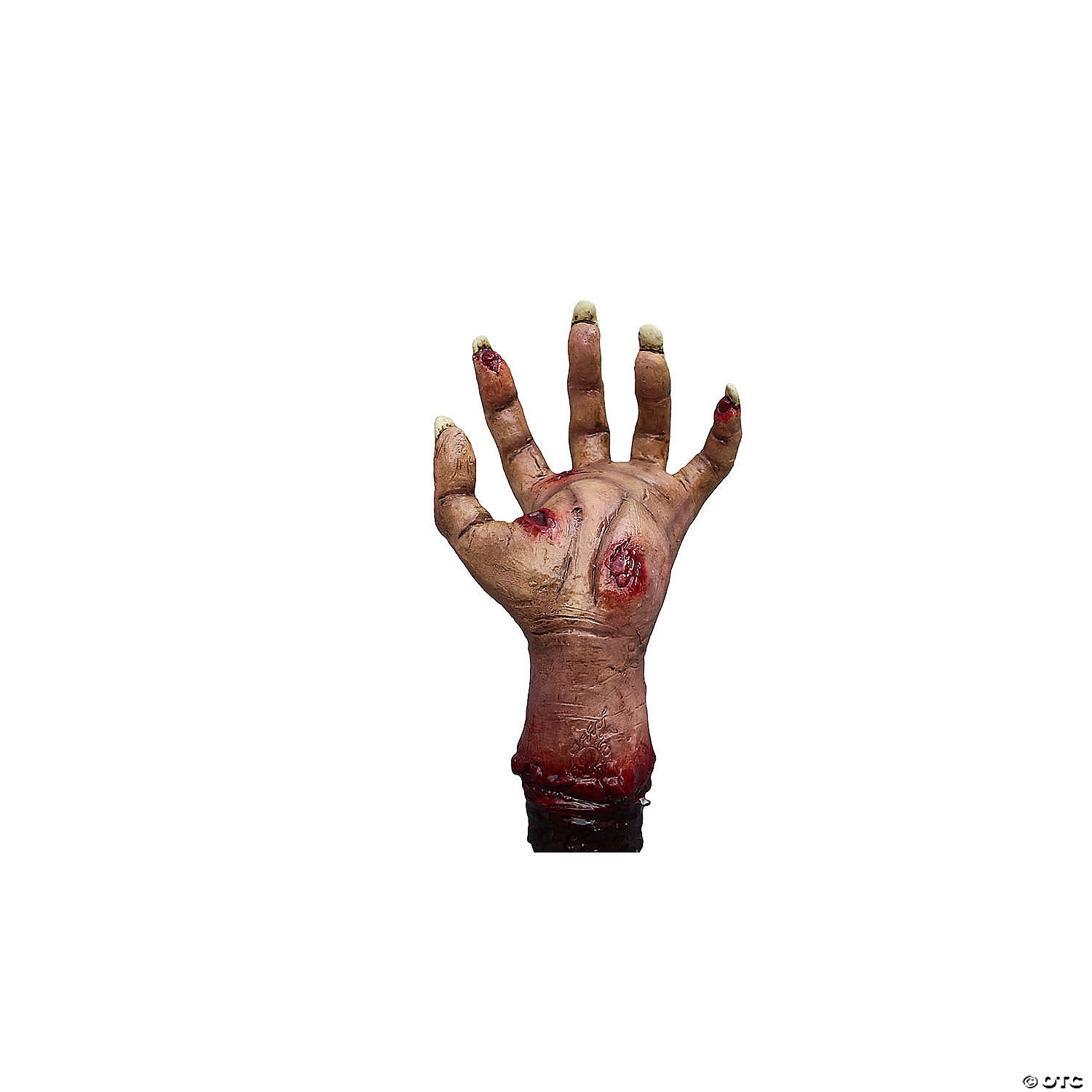 241789461.jpg