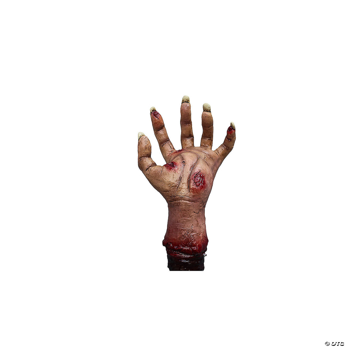 241789461.jpg