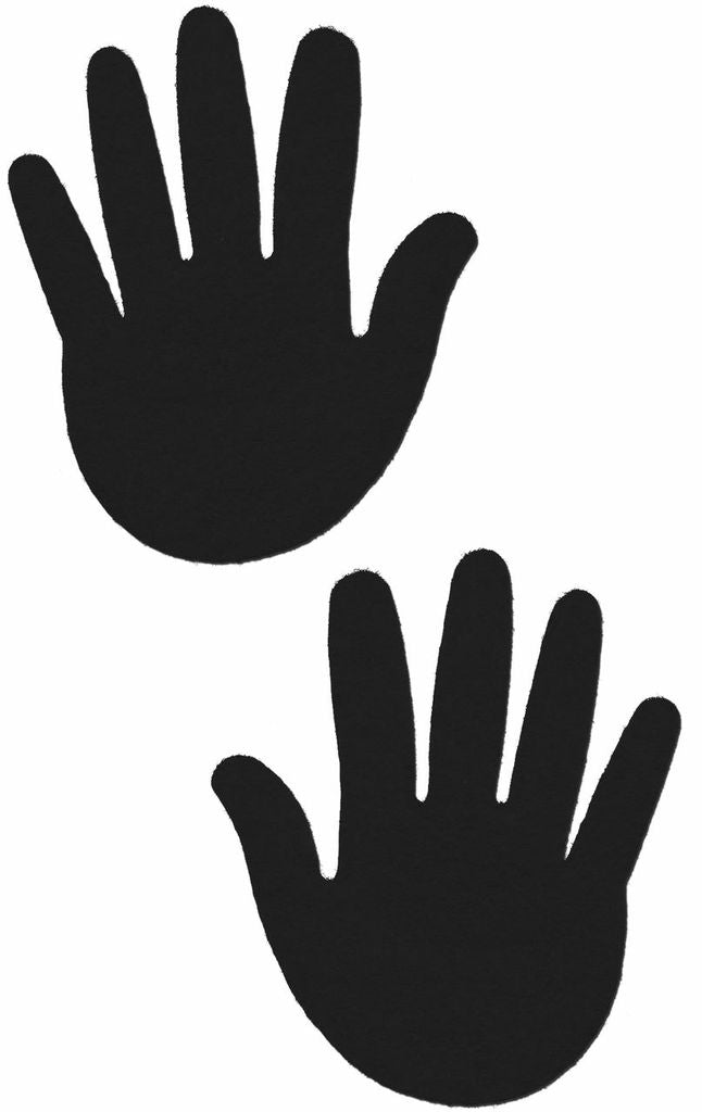 248639497.jpg