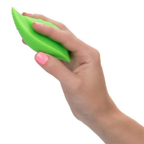 296720021.jpg