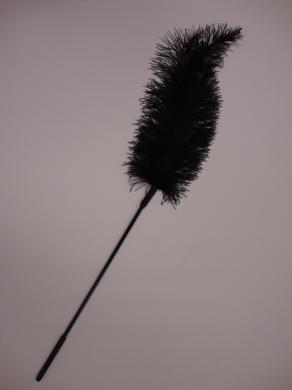 296761649.jpg