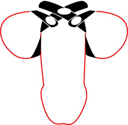 296761666.jpg