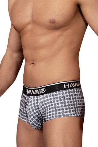 HAWAI_42430_Gray_3.jpg