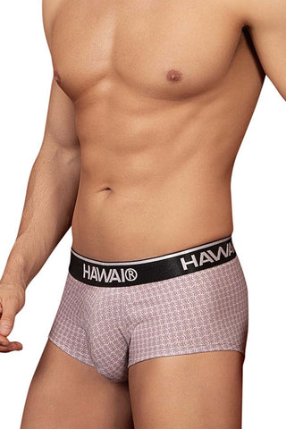 HAWAI_42431_Cocoa_3.jpg