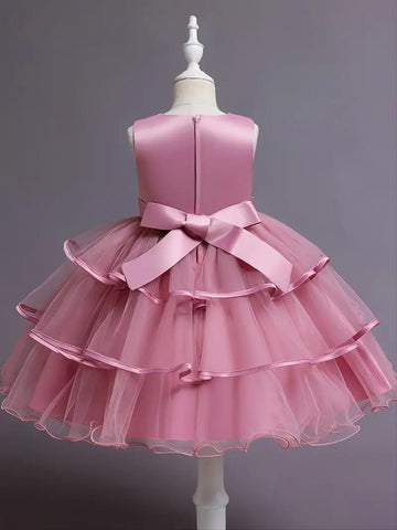 Girls Princess Dress Sleeveless Flower Embroidery Tutu Dress Performance Dress Wedding Flower Girls For Evening Birthday #5810