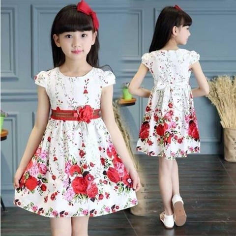 Flower Dress Girl Summer 2023 Birthday Party Sleeveless A-line Princess Tight Waist Dress Kids Clothes Girls 2 To 12 Zipper Cute