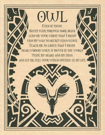 Owl Poster