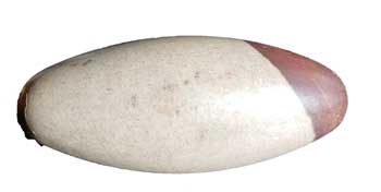 6" Shiva Lingam Stone From India