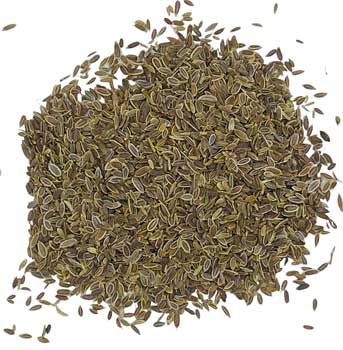 Dill Seed Whole 2oz