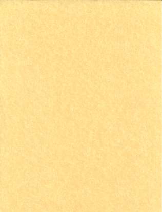 Light Parchment Paper 25 Pack  (8 1/2" X 11")