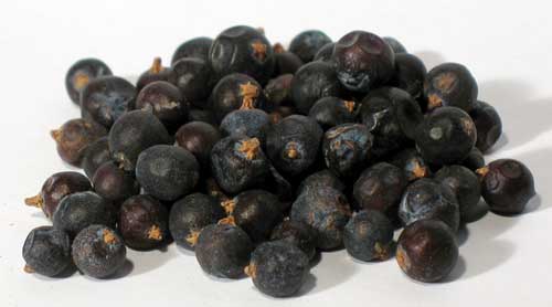Juniper Berries Whole 2oz (juniperus Communis)