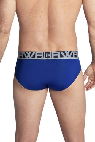 Microfiber Briefs