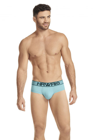 Microfiber Briefs