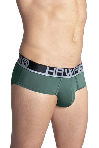 Microfiber Briefs