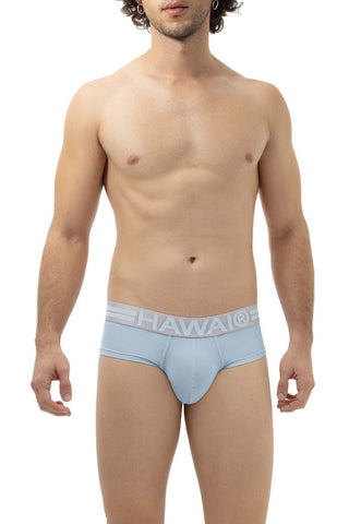 Microfiber Briefs