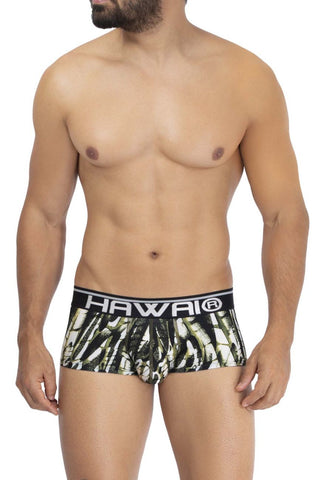 Printed Microfiber Briefs