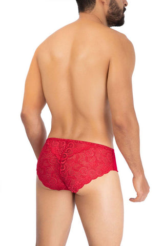 Solid Lace Briefs