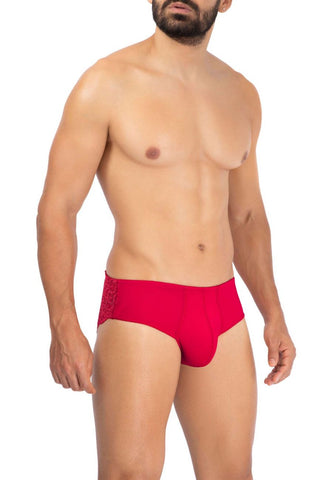 Solid Lace Briefs