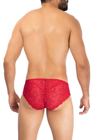 Solid Lace Briefs