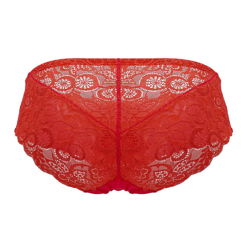 Solid Lace Briefs