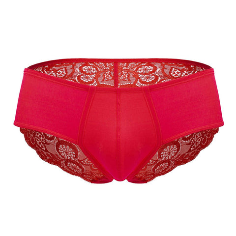 Solid Lace Briefs