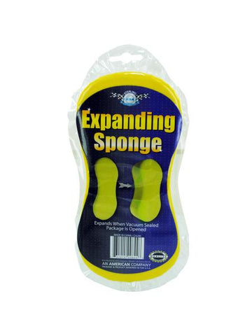 Expanding Sponge Ca248
