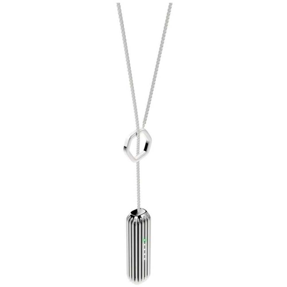 Fitbit Fb161alsr Standard Pendant For Flex 2 Activity Tracker - Silver
