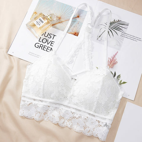 New Women Hollow Out Bralette Solid Color Beauty Back Lace Underwear Sexy Vest Female Add Pad Wireless Bra Seamless Lingerie