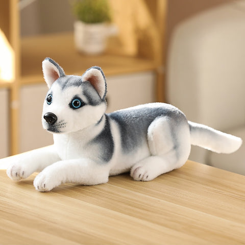 Simulation Plush Dogs Toy Look Alike Husky Dalmatians Akita Miguel Sharpie Puppy Dolls Lovely Stuffed Toys Kids Birthday Gift